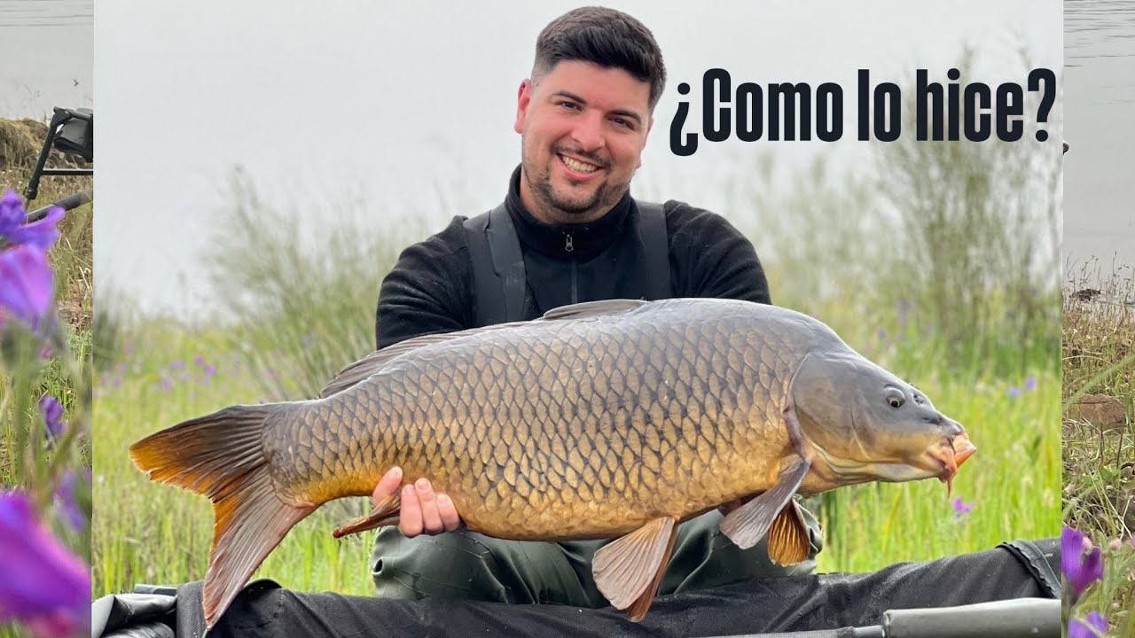 Noche de Carpfishing: ¡Piques Inesperados, Capturas Increíbles y la Visita de la Policía!