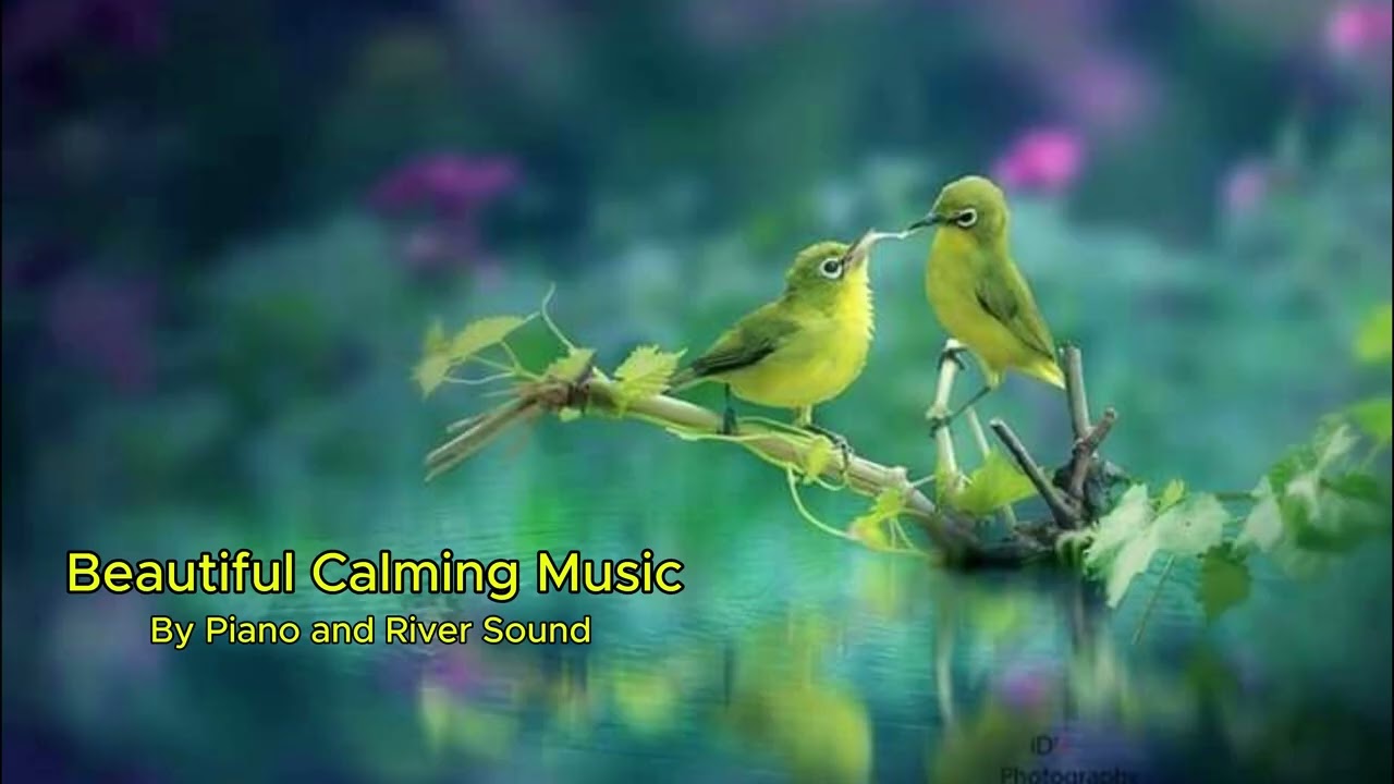 Beautiful Calming Music by Piano and River for sleep #calmmusic #relaxingmusic #deepsleep