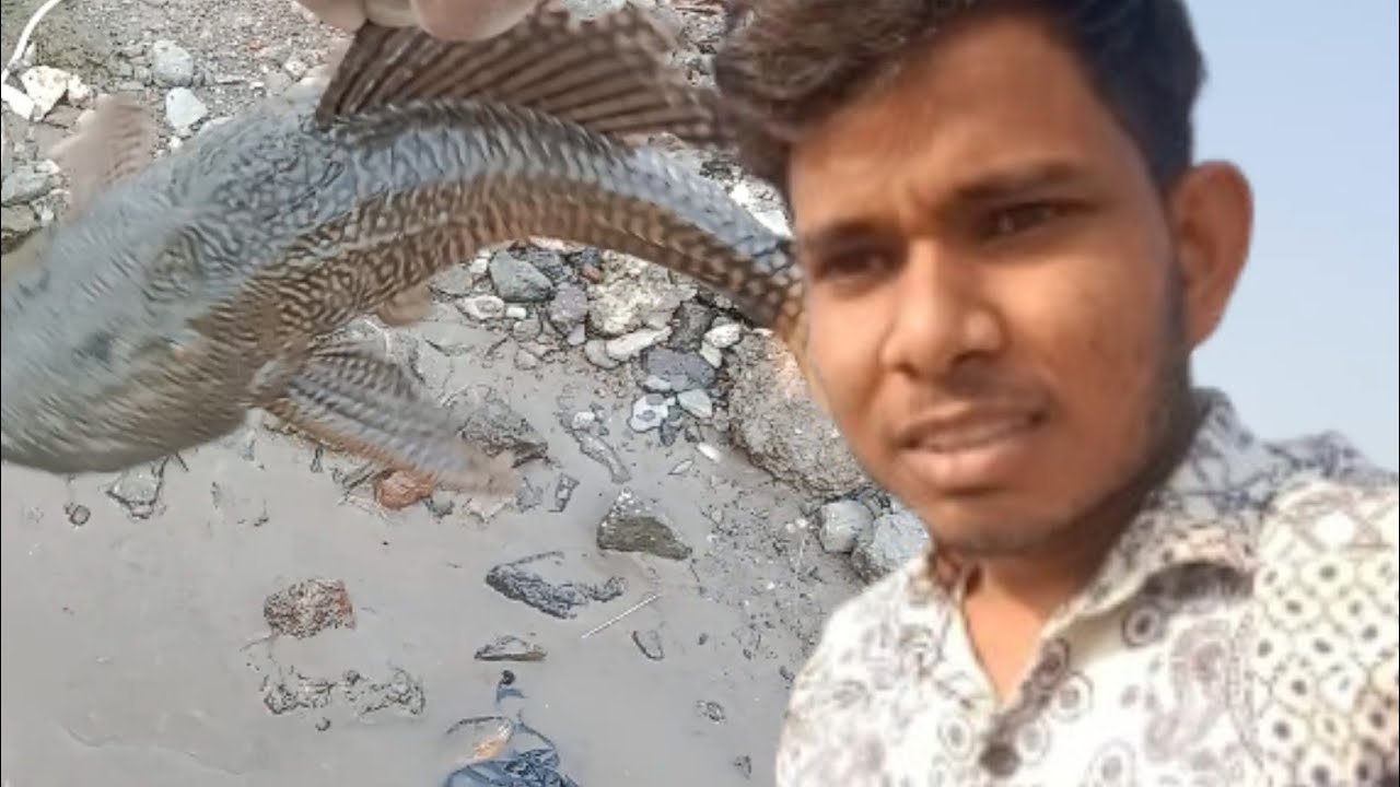 मछली को बचाया मैने #video #vlog 