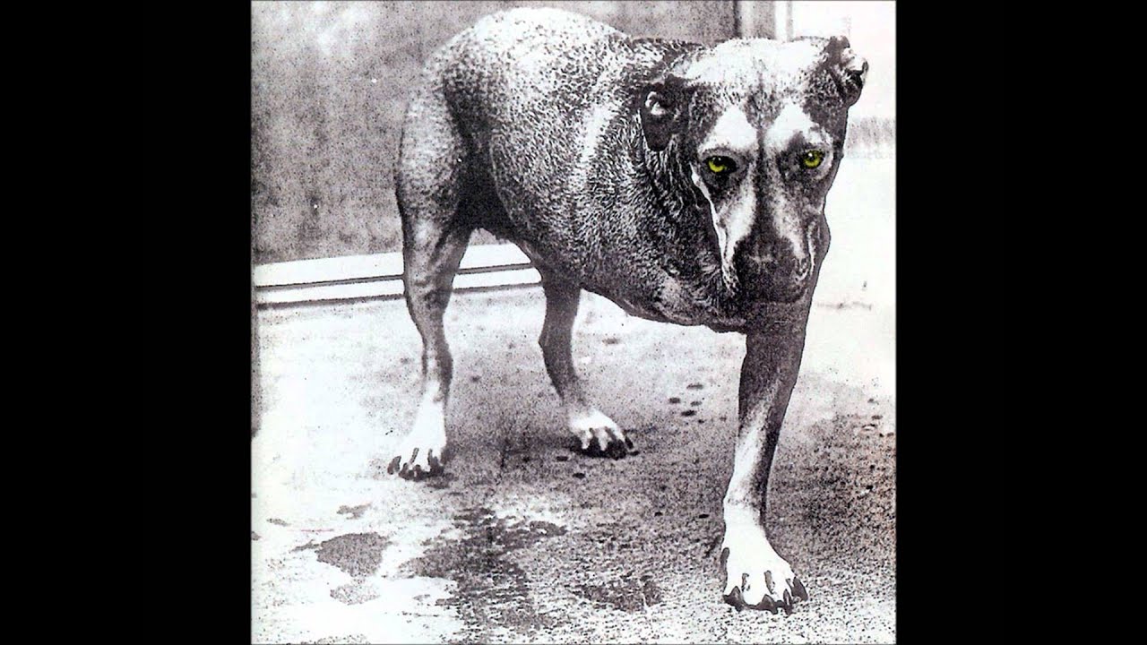 Alice in chains grind guitar