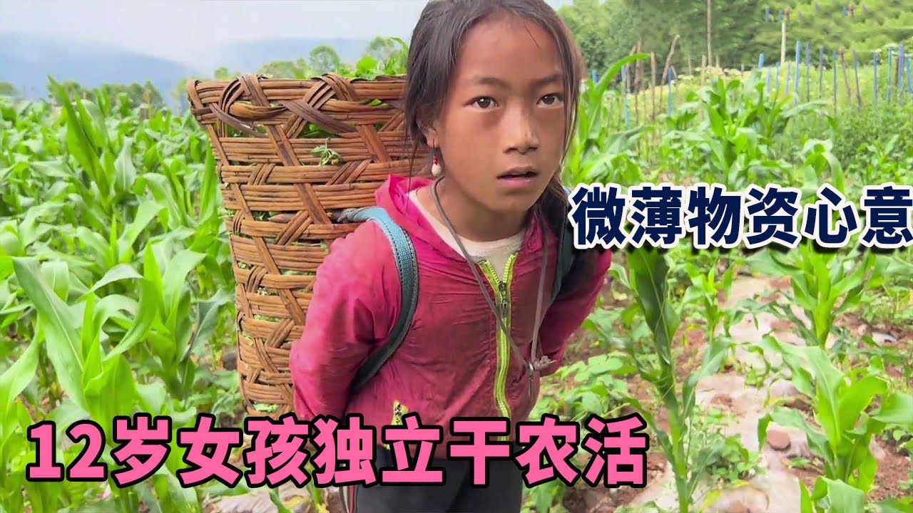 12岁女孩不一样的人生，她突然叫我爸爸，能答应她吗？【阿龙游四方】