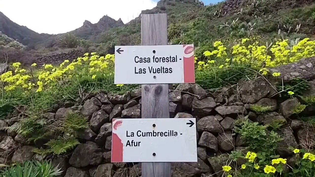 Ruta Circular Casa Forestal de Taganana (Tenerife)
