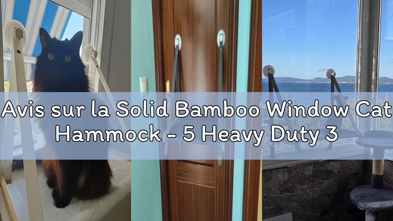 Avis sur la Solid Bamboo Window Cat Hammock - 5 Heavy Duty 3.0 Suction Cups - Cat Hammock with Winte