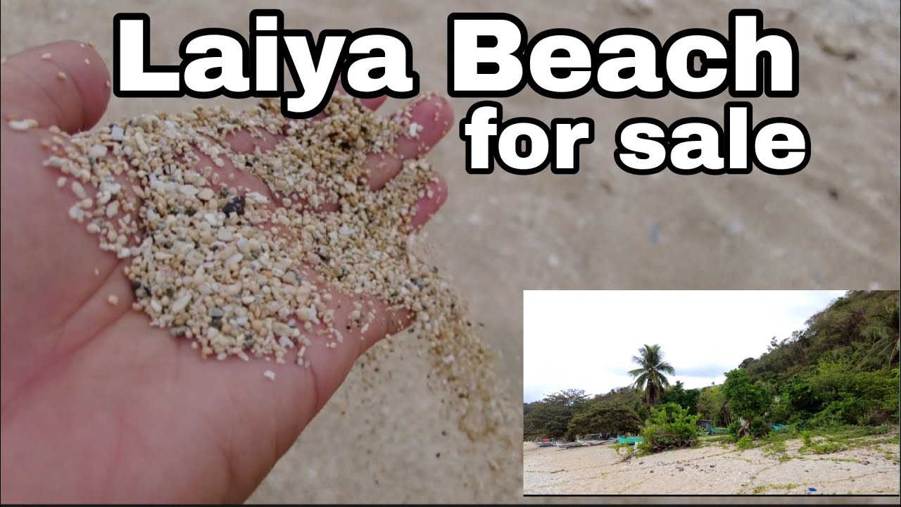 6 Hectares Titled beachfront property @Laiya San Juan,Batangas for sale