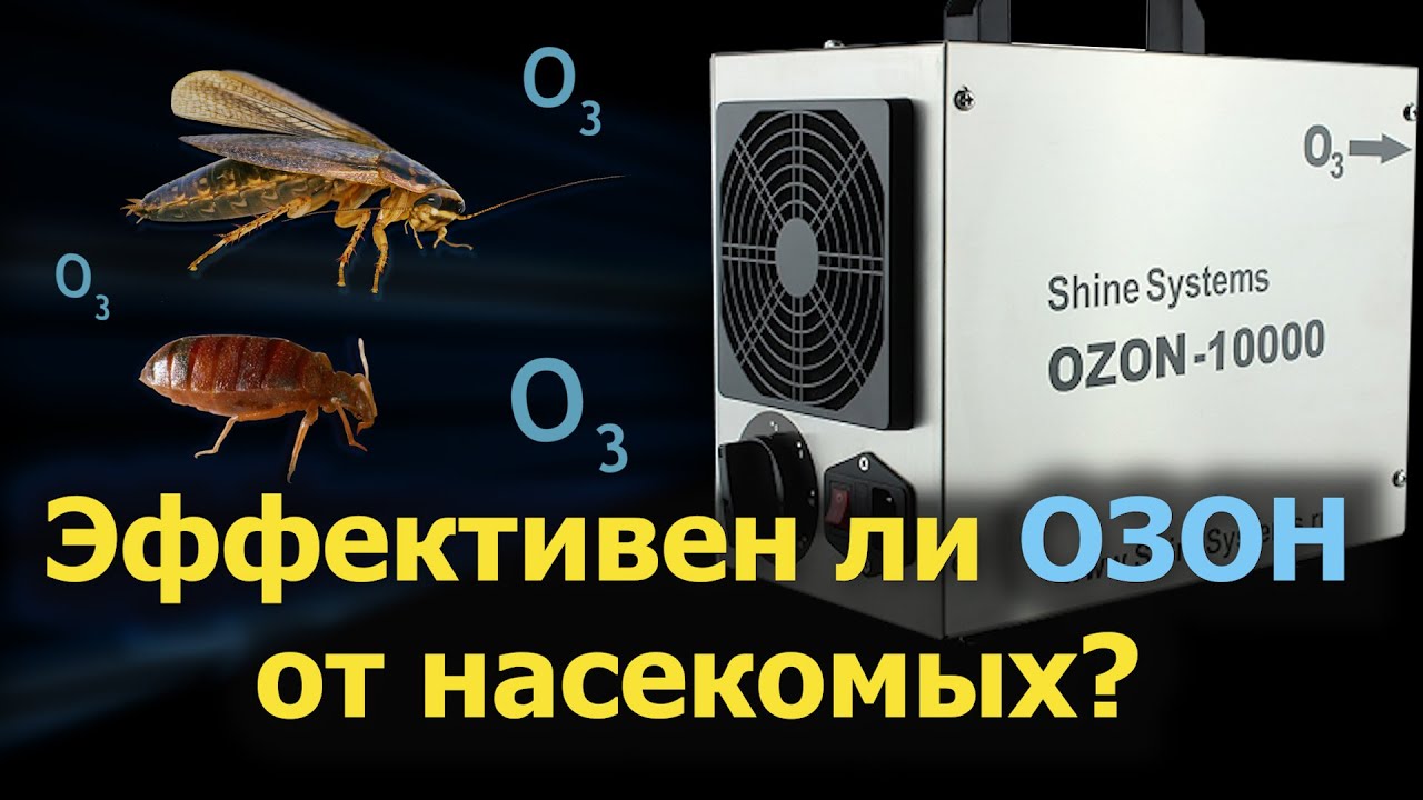 Генератор ОЗОНА против клопов и тараканов &mdash; тест