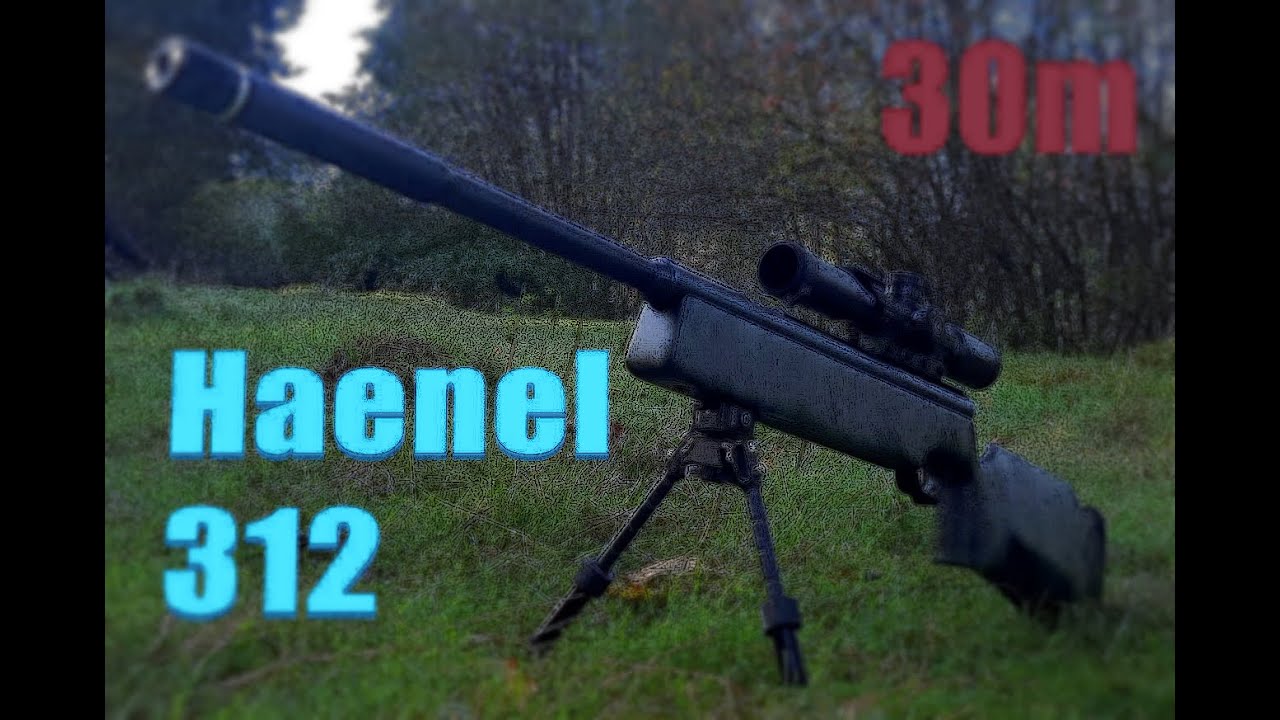Haenel 312