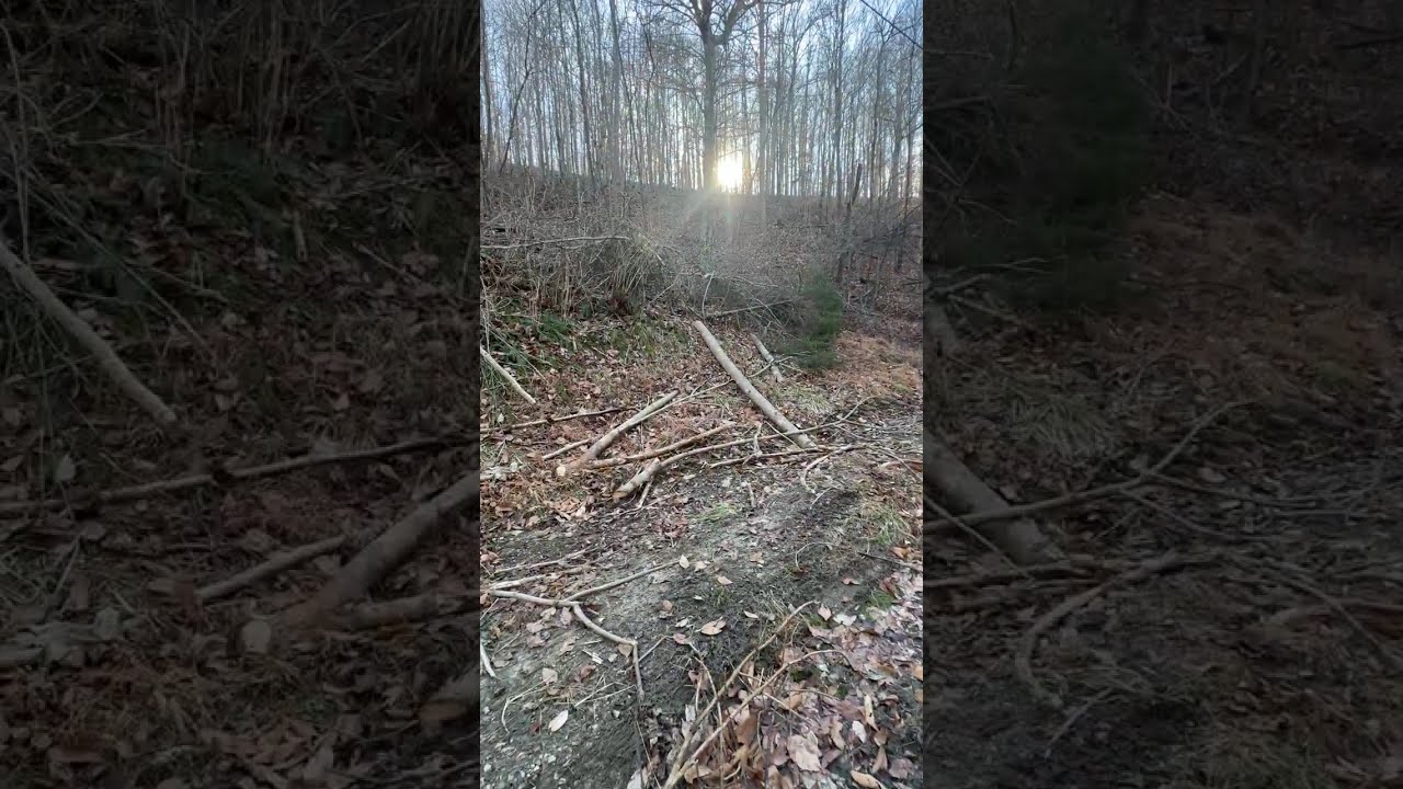 26 Acres Liberty,KY $60k