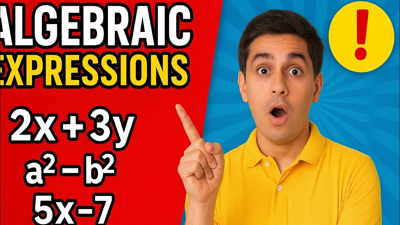 P8: Algebraic Expressions division solution || PPSIR CLASS 6-10