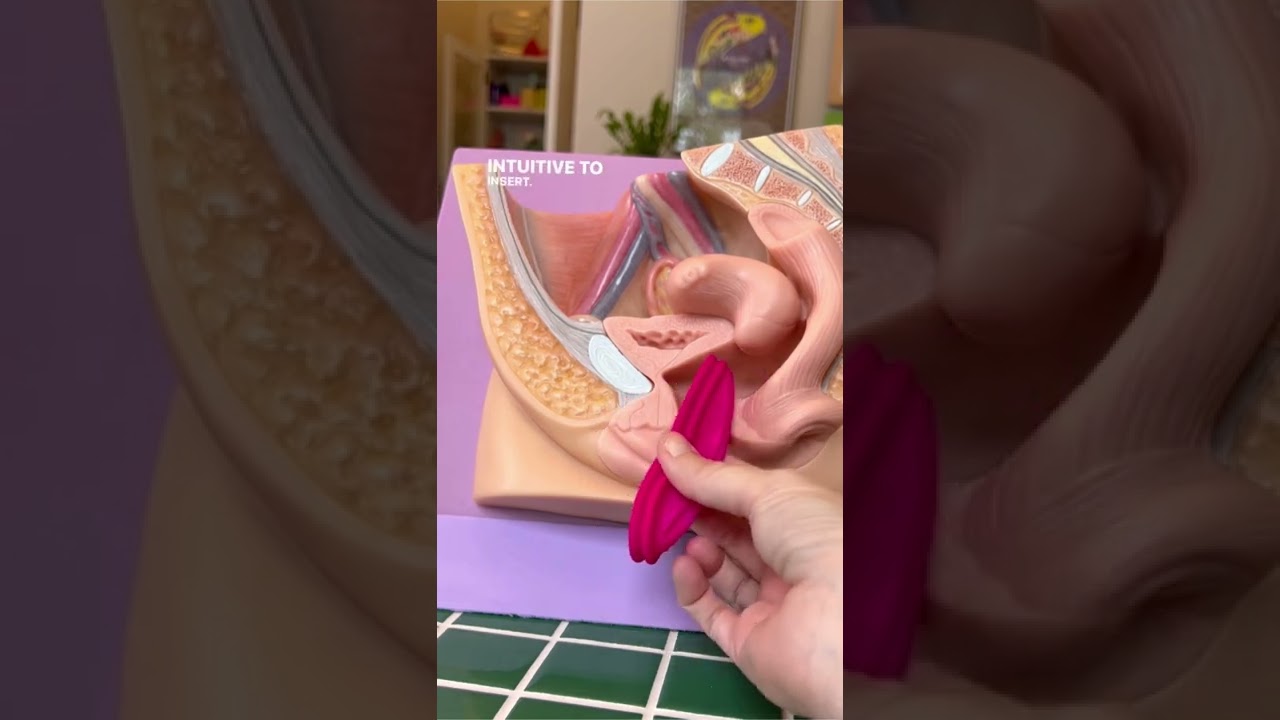 Menstrual Discs Quick Guide and Demo with Ziggy 2 #shorts