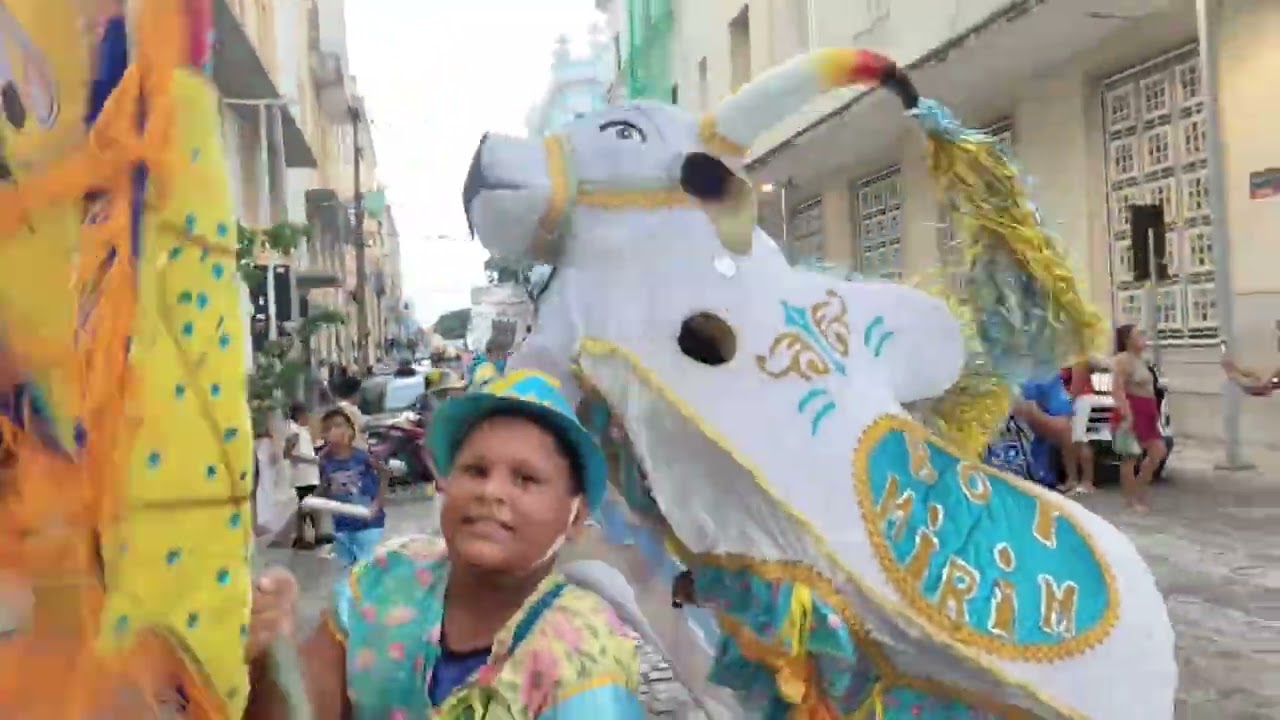 Boi Mirim de água fria cortejo da cultura Popular no dia 24/01/2026