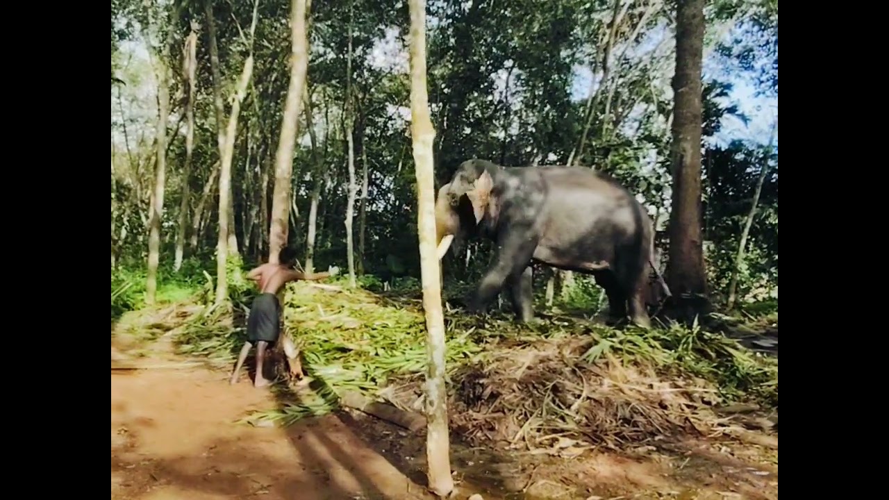 Ganeshan and his family 