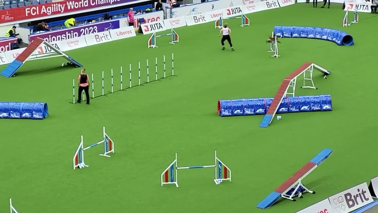 LEXA Agility Large Individual NATALIJA LOGINOVA, FCI AWC 2023