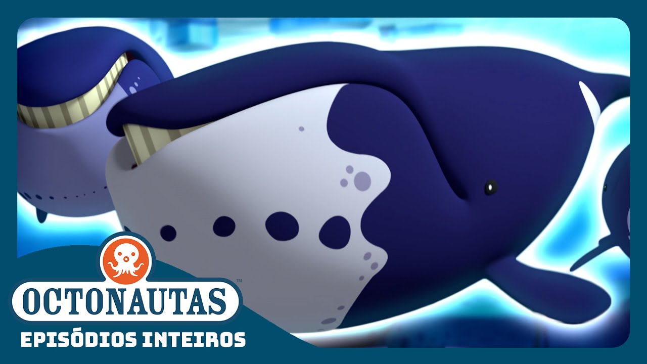 Octonautas - 🐋 As Baleias Bowhead 🐋 | Episódio inteiro 6 | Segunda Temporada