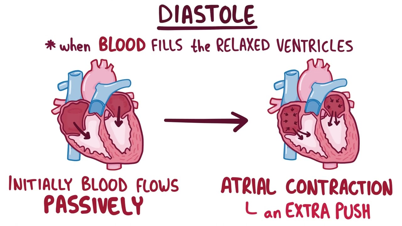 Normal Heart Sounds, provided by Osmosis from Elsevier