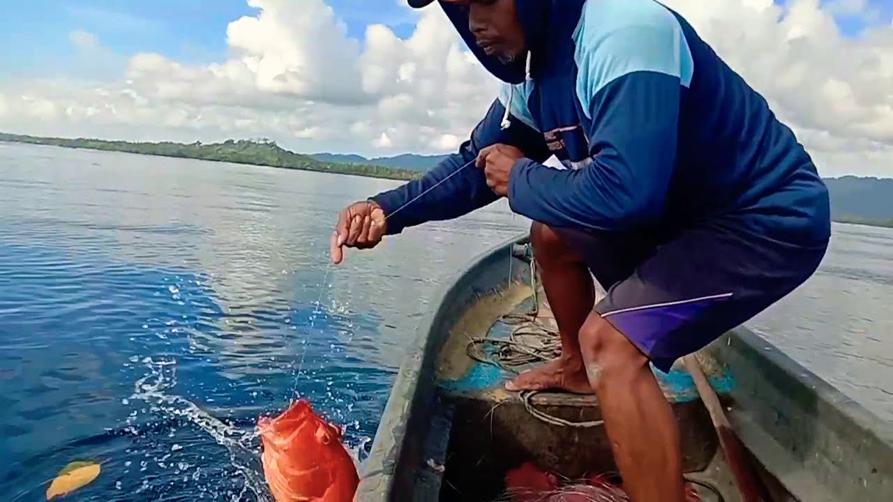 Strike Ikan Kerapu Sunu Merah  (Red Grouper) Dan Kerapu karang (Coral Grouper) - Harga Jualnya Mahal