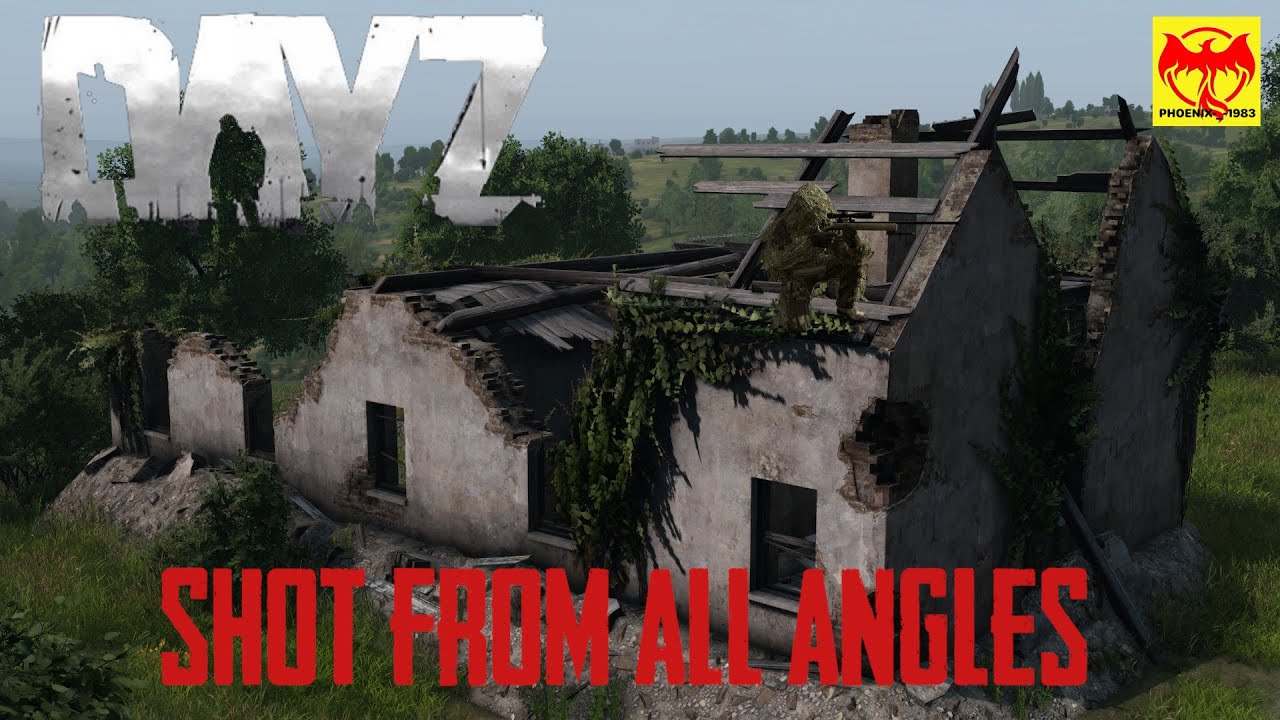 DayZ Getting shot at from all angles
