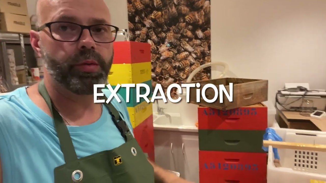 Extraction du miel 2024