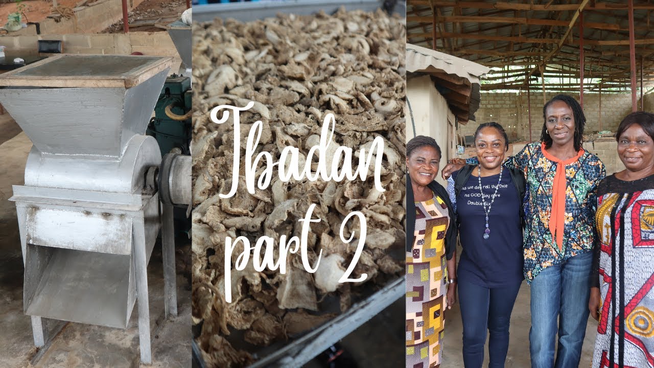 COME WITH US TO IBADAN- PART 2 | GARRI PROCESSING FACTORY, OMI ADIO