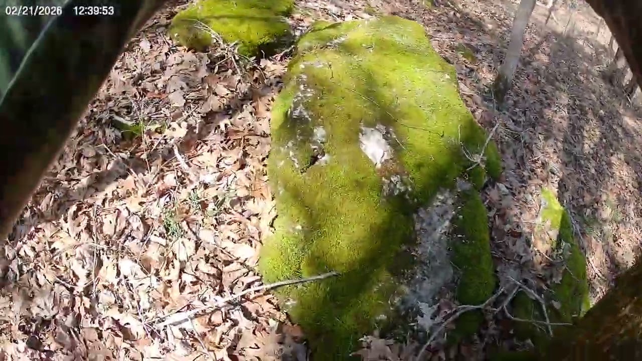 TN airsoft video number two