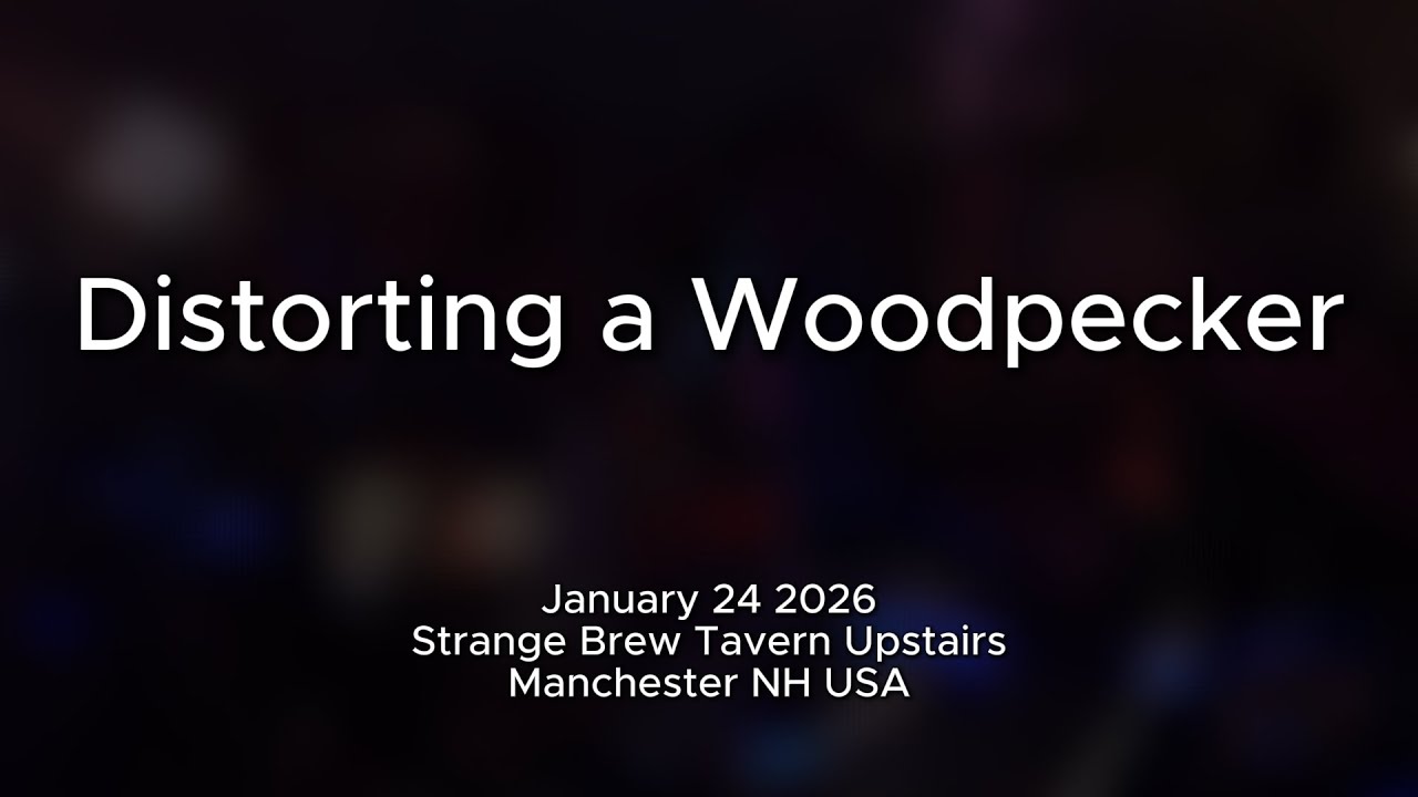 distorting a woodpecker @ strange brew tavern upstairs on january 24 2026 #NHNoiseClips