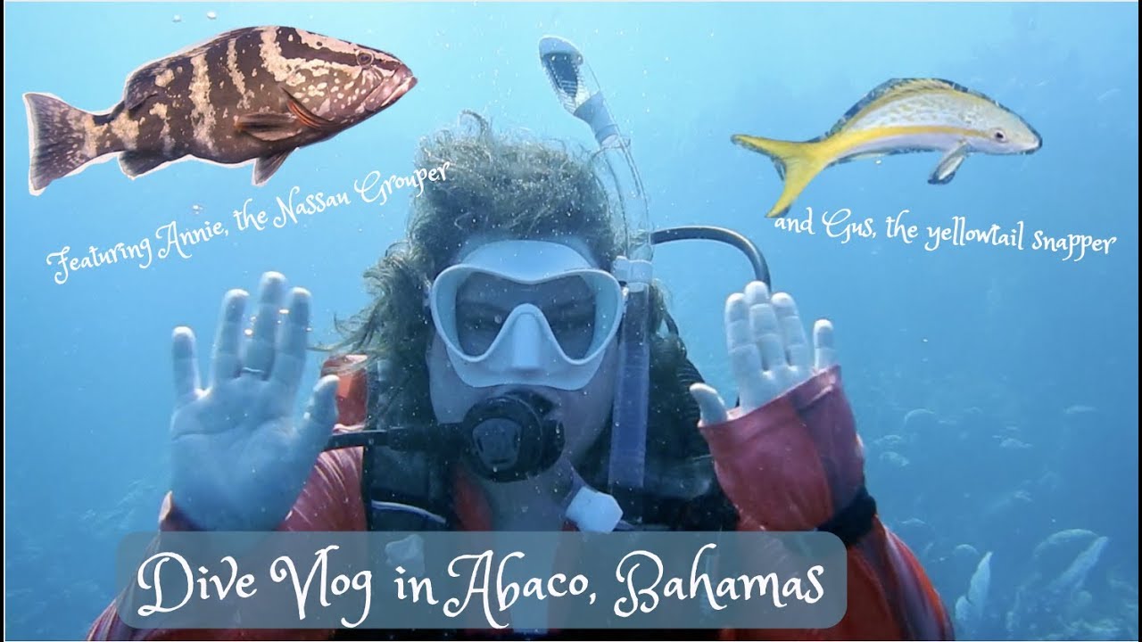 Scuba Diving in Abaco Bahamas | Mermaid SCUBA Vlog 3