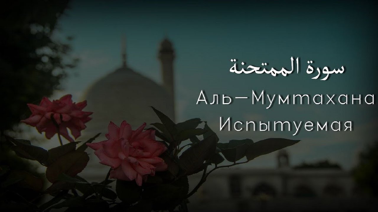 Мухаммад аль-Люхайдан, сура Аль-Мумтахана | Испытуемая