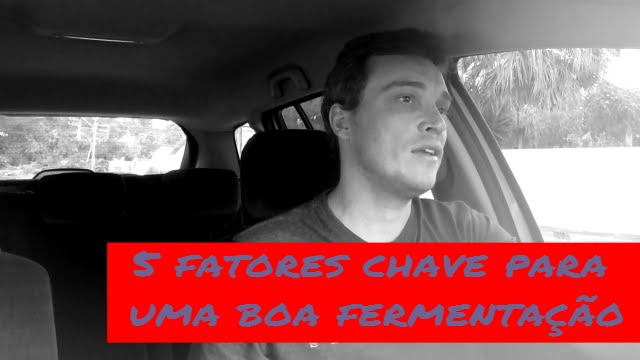 Conheça os 5 fatores chave para uma boa fermentação | Concerveja (53/365)