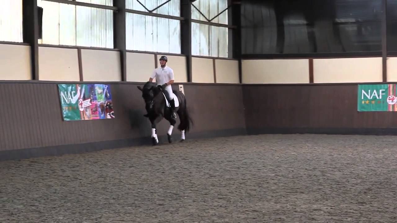 Developing cadence and expression in the trot