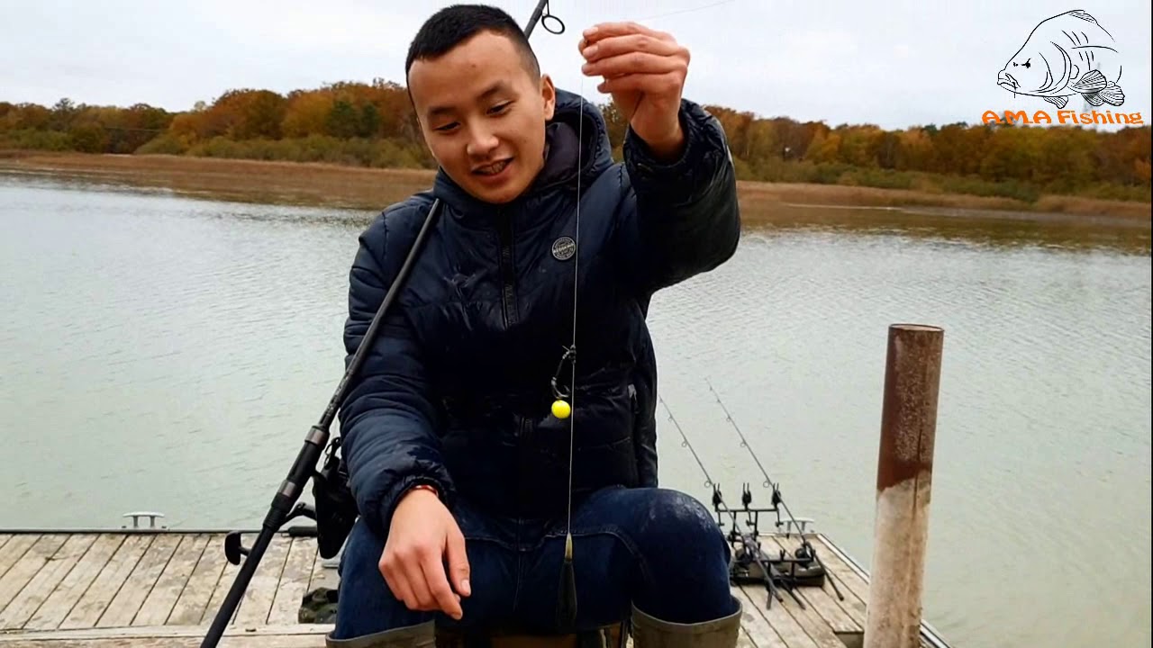 Pêche de la carpe en coup rapide