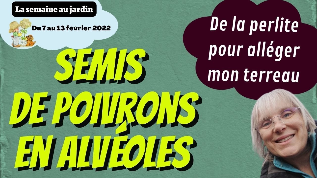 SEMIS de poivrons EN ALVÉOLES  / Pourquoi AJOUTER DE LA PERLITE dans un terreau maison