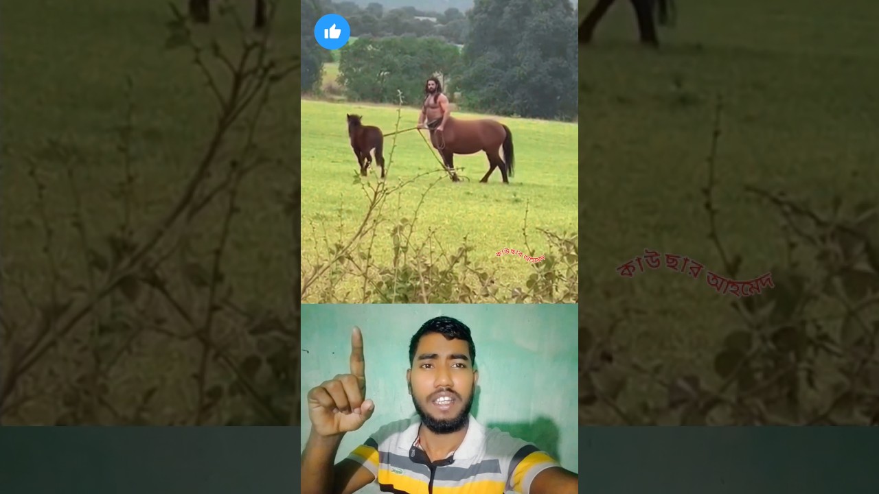 মানুষ না ঘোড়া! চোখ ধাঁধানো দৃশ্য 😳🔥