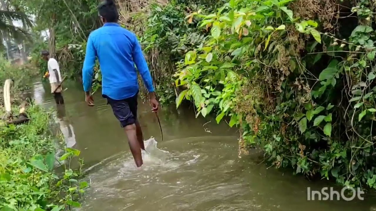 ಕಾಲುವೆ ಮೂಲಕ ನೀರು ಹಾಯಿಸಲು ಬತ್ತ ಬೇಸಾಯಕ್ಕೆ ಹೂಳು ತೆಗೆಯುವ ಕೆಲಸ ಸ್ವಚ್ಛ ಭರತ್ ಅಭಿಯನ್