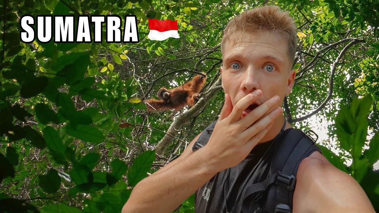 72h en la ISLA de los ORANGUTANES | Sumatra, Indonesia 🇮🇩