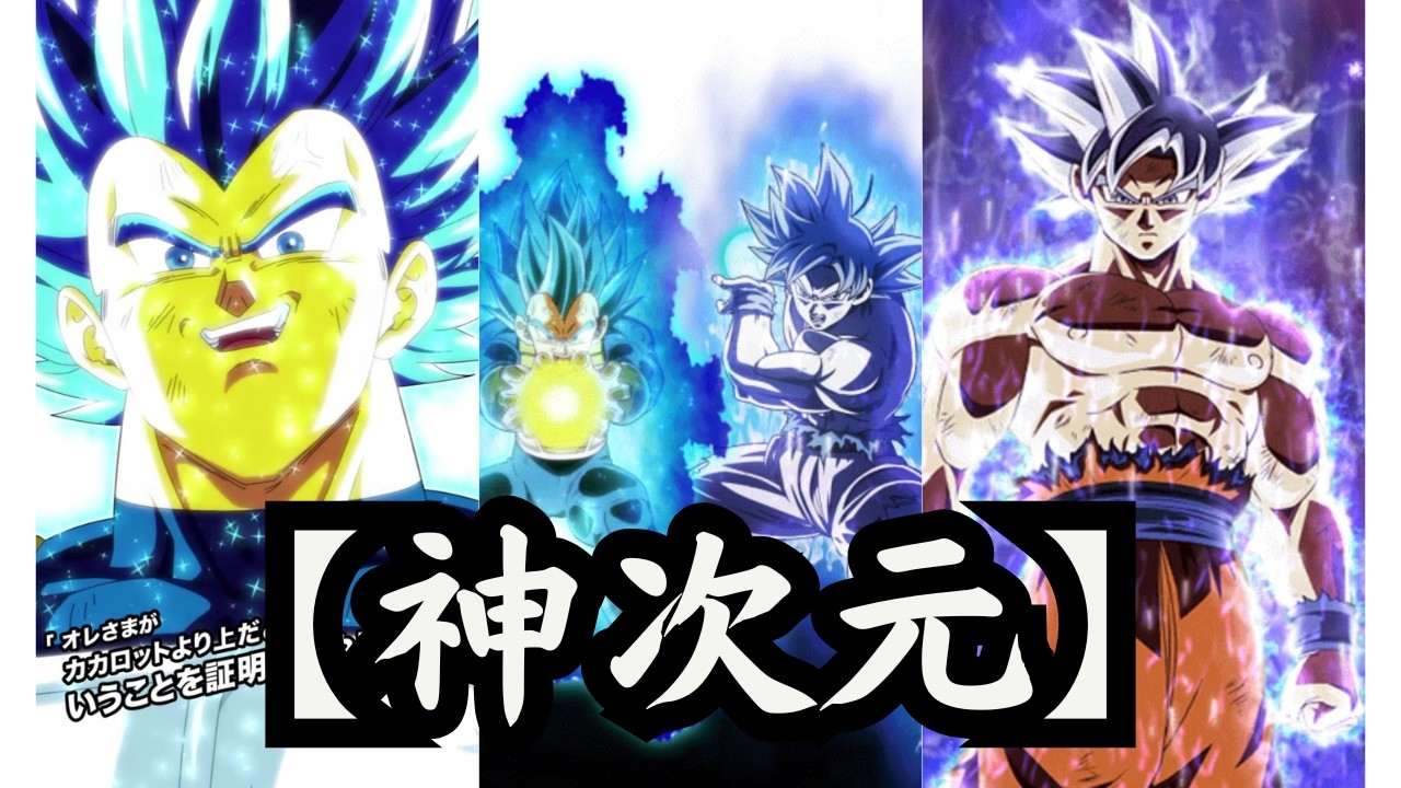 約10分で分かる!!!!頼むから回避してくれ‼「神次元」‼