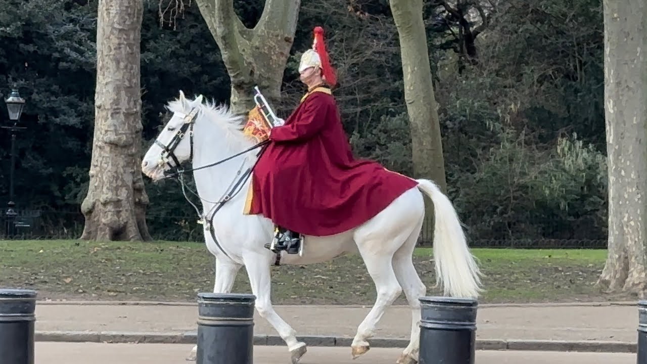 Magnificent King’s Guard’s Horse & Trumpeter