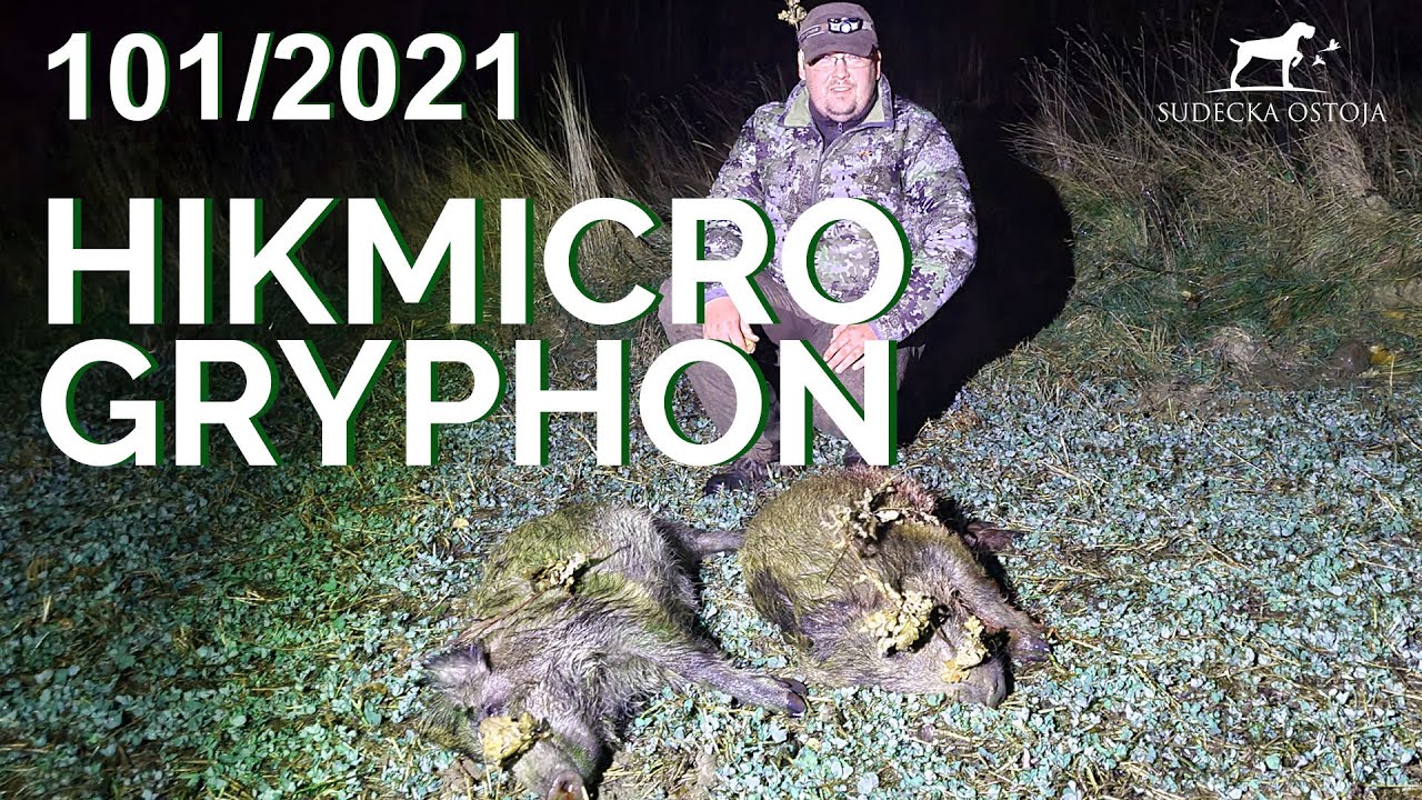 SUDECKA OSTOJA 101/2021. Polowanie na dziki.Wildboar hunting. Wild jagen. HIKMICRO GRYPHON GQ35L.