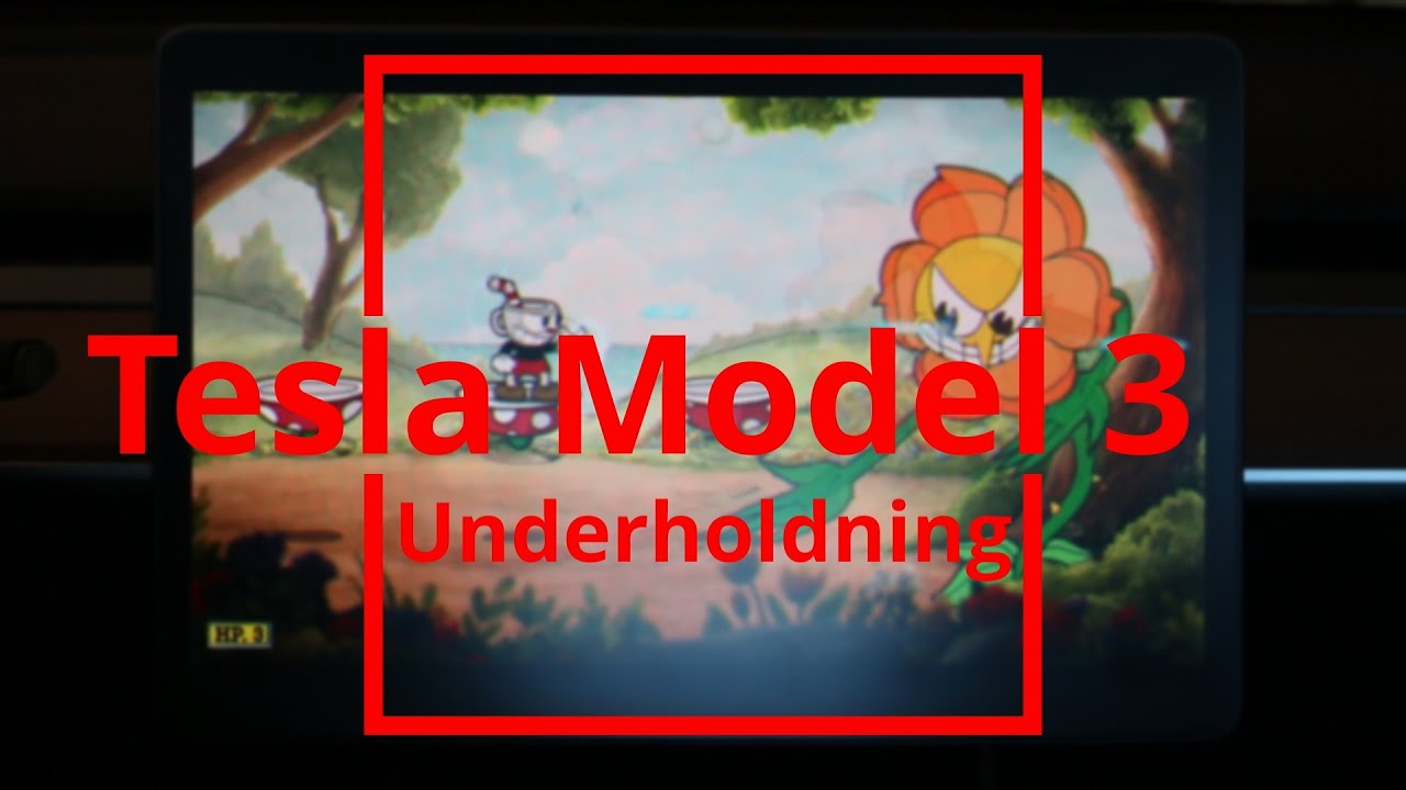 Tesla Model 3 - Underholdning