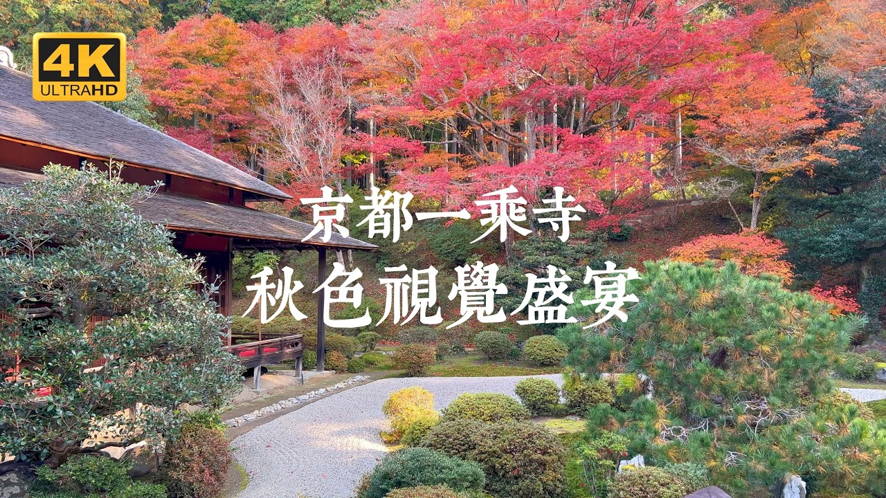 【京都VLOG EP06】秋色滿京都！洛北一乘寺紅葉美景一日行程 | 曼殊院、鷺森神社、圓光寺、詩仙堂、挽肉と米