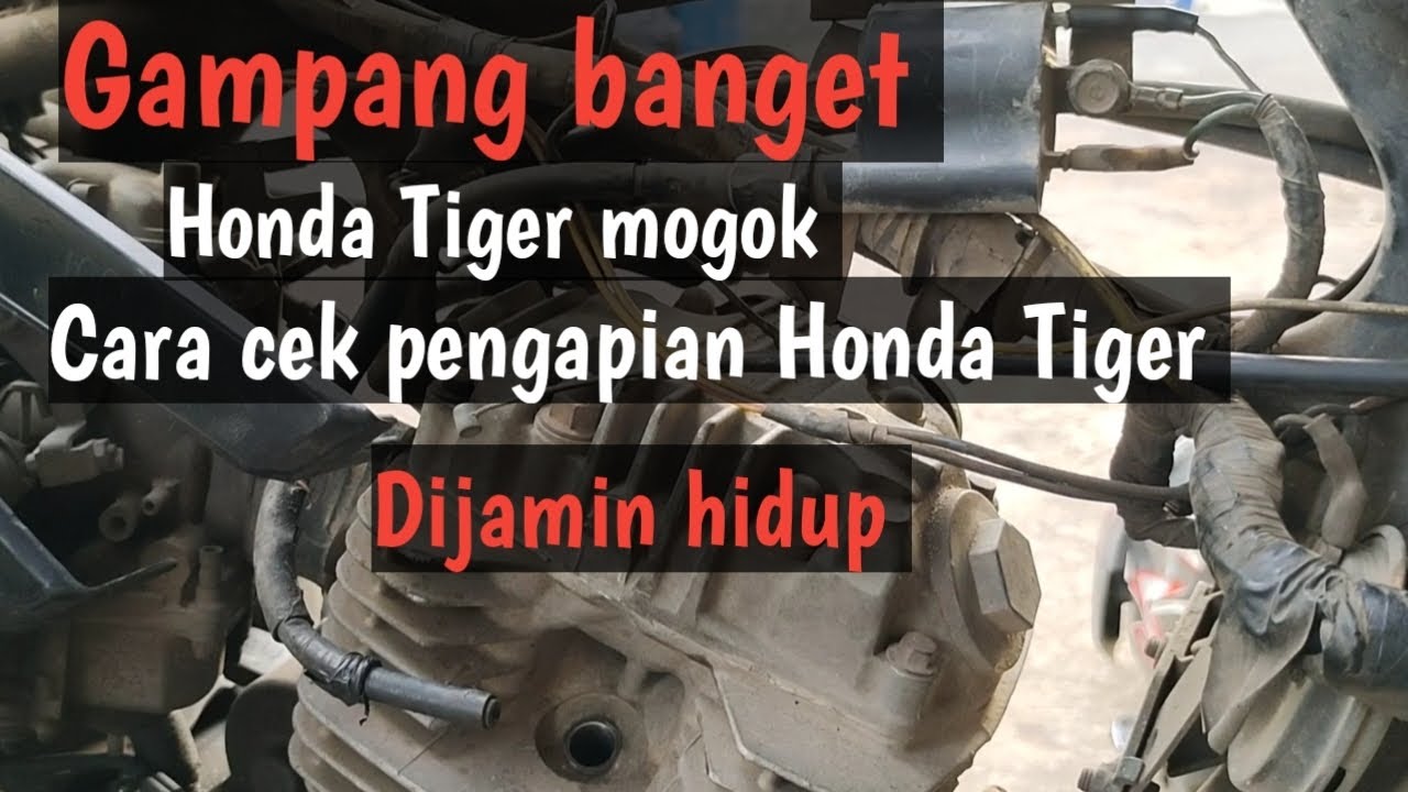 Cara cek pengapian Honda Tiger #pengapianhondatiger