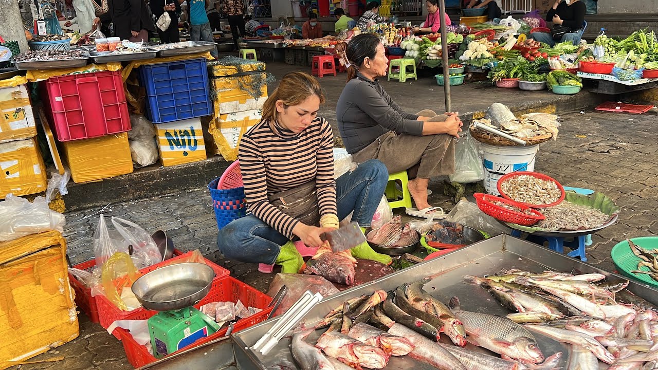 Unbelievable Cambodian Fish Market is a great place to Visit and Buy Fresh Fish with Reasonable Pric