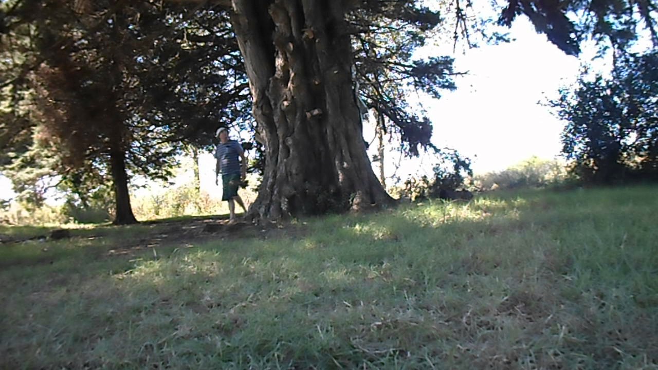 ISLA DE LA MERCADA. FLORIDA-URUGUAY. La Macana 