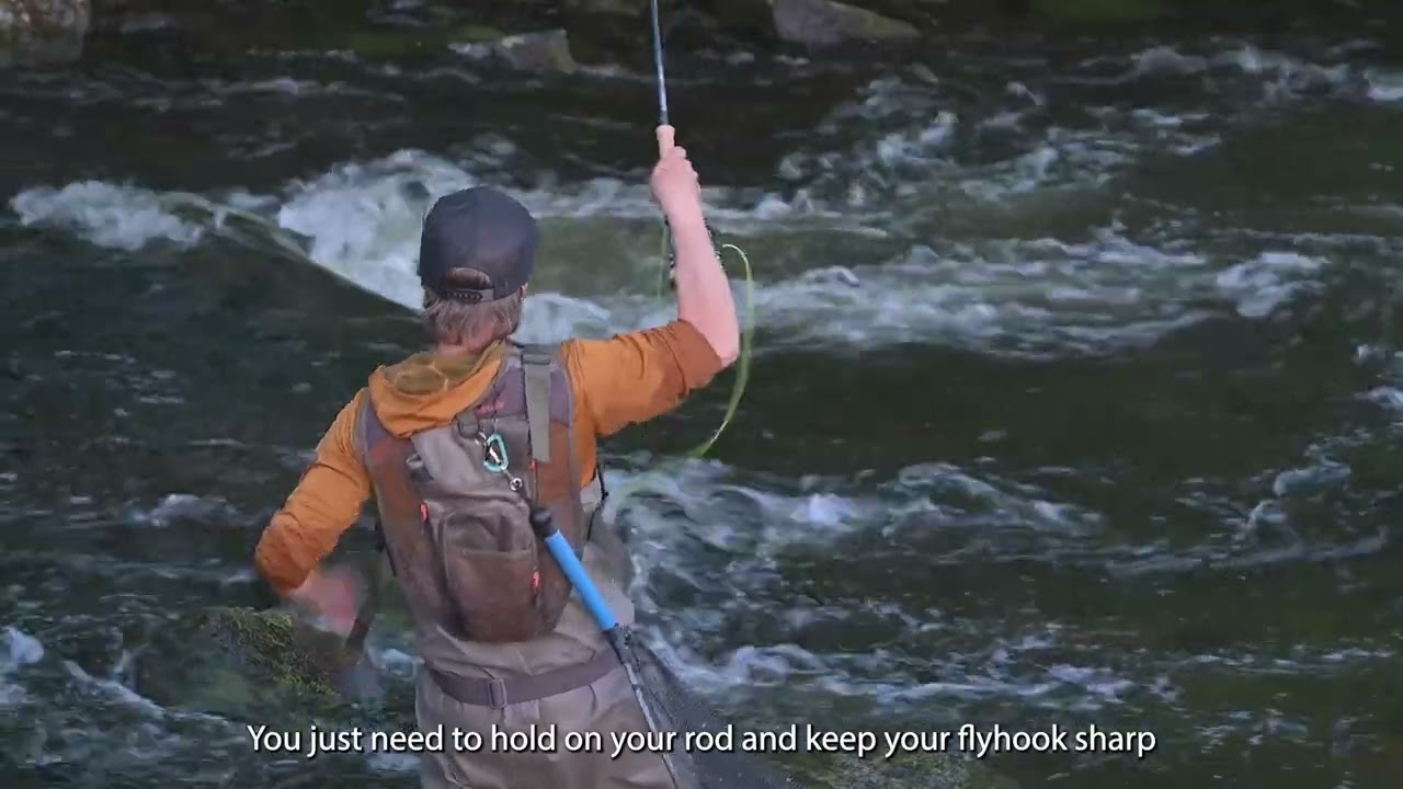 Trophy trout Central Finland Troutland
