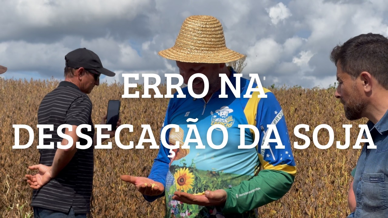 DESSECAÇÃO DA SOJA Antes da Hora Pode Custar Caro...