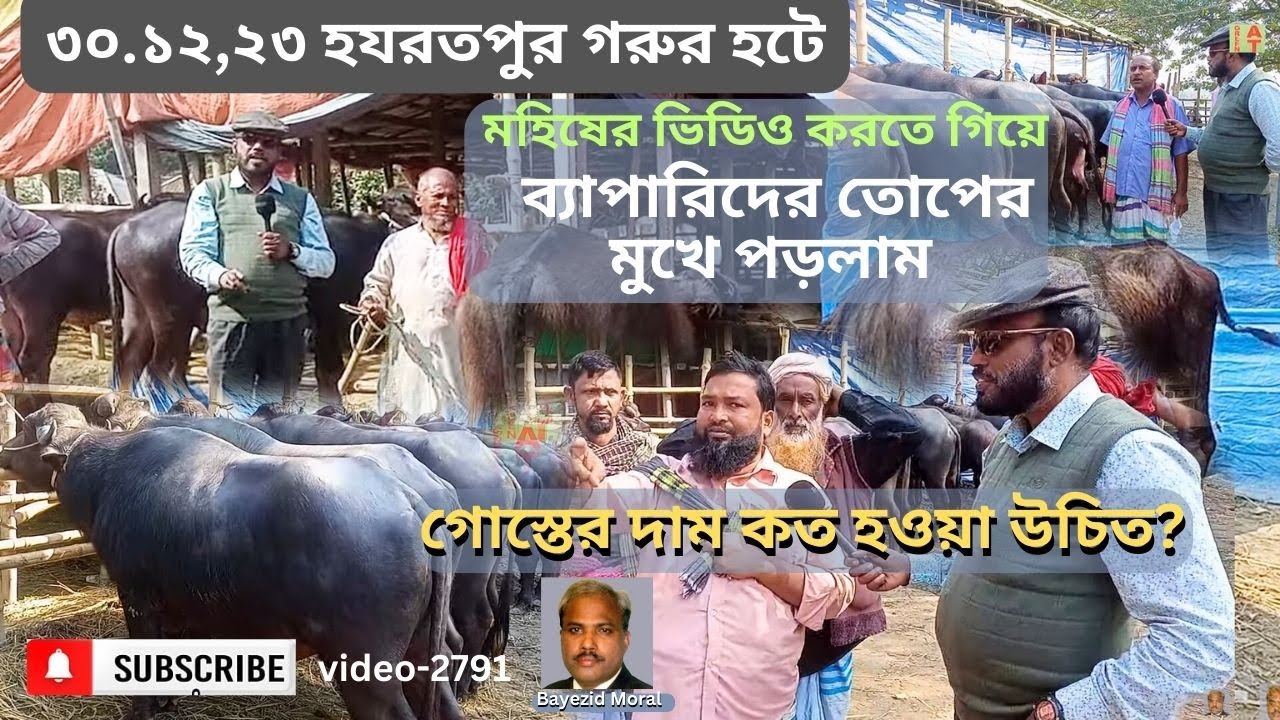 হযরতপুর গরুর হাটে মহিষের দামসহ বিস্তারিত | Bayezid Moral | Green AT | Buffalo price