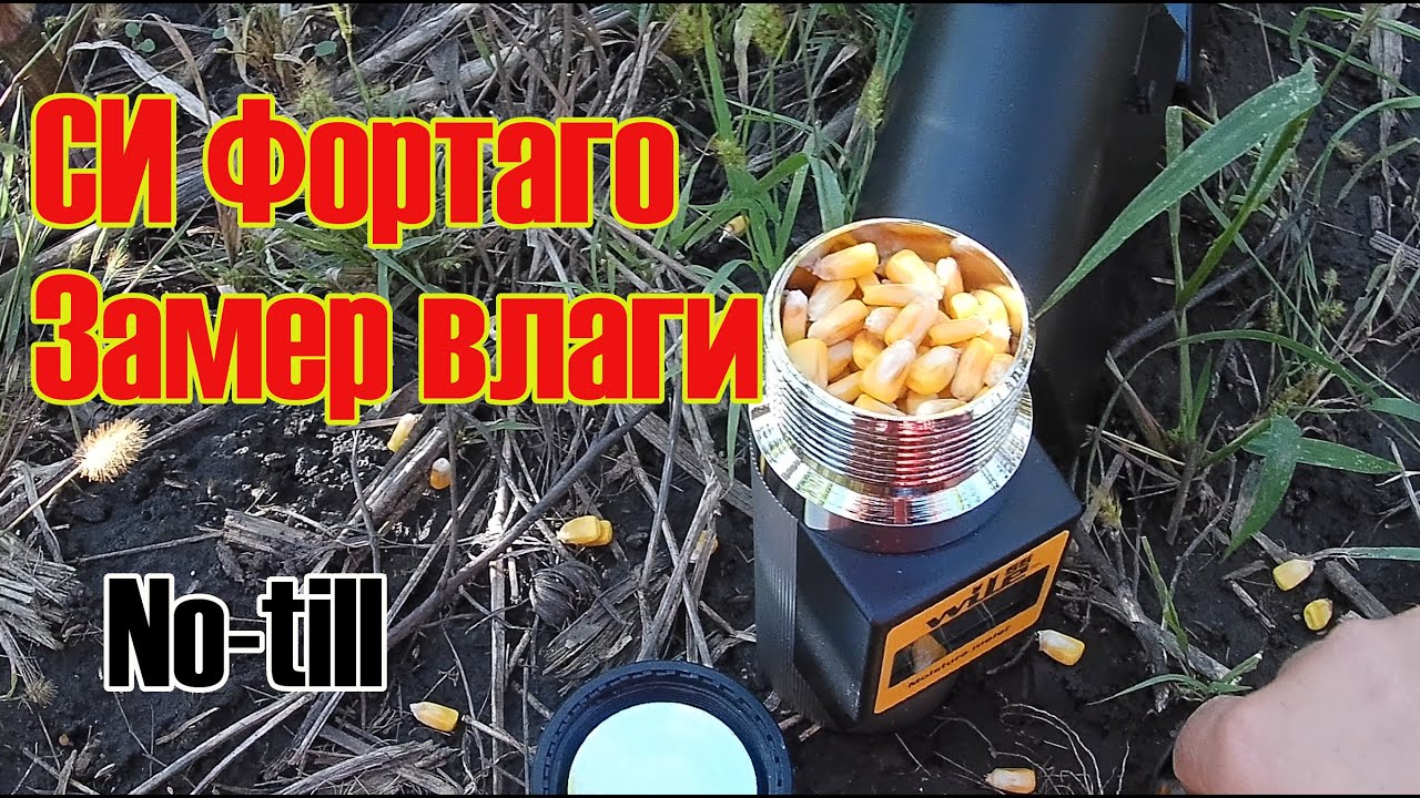 СИ Фортаго.  Замер влаги.  Кукуруза 2022.