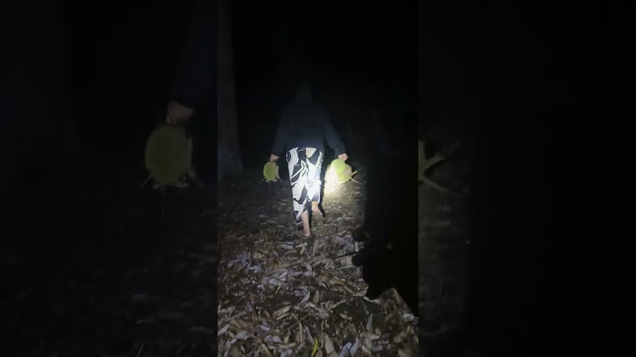 Hasil ngebolang jam 3 subuh bersama ibu nya anak anak#durian lokal poso
