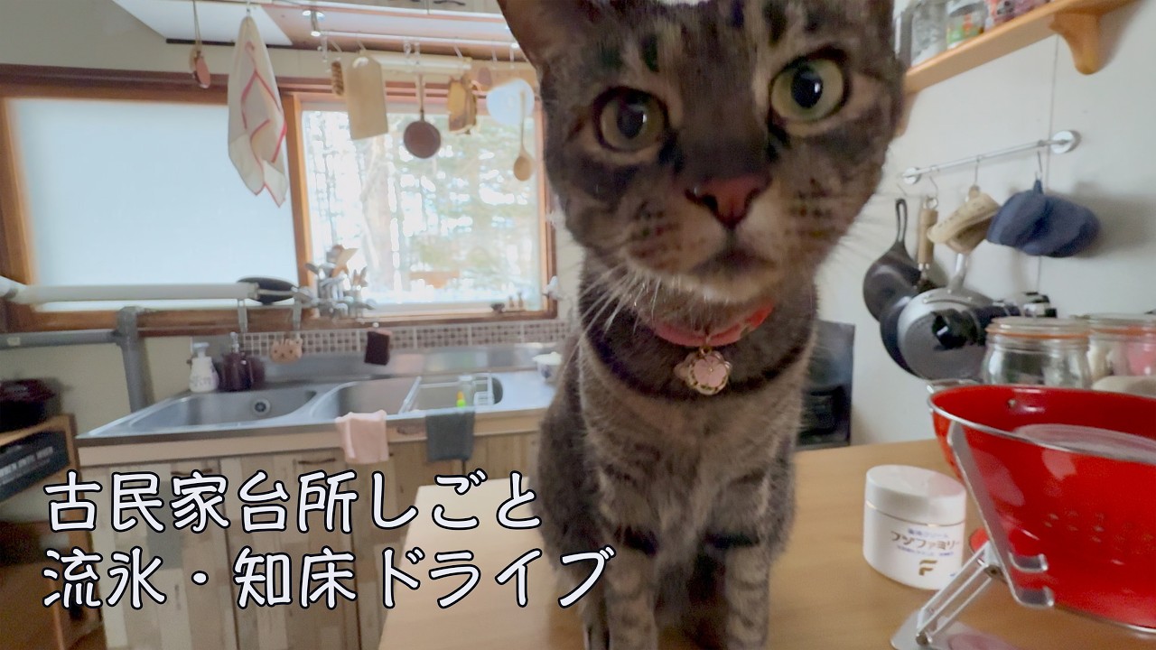 古民家台所しごと餅チーズで晩酌/流氷 知床ドライブ/『vlog北海道・道東の暮らし』　Life in Hokkaido, Japan