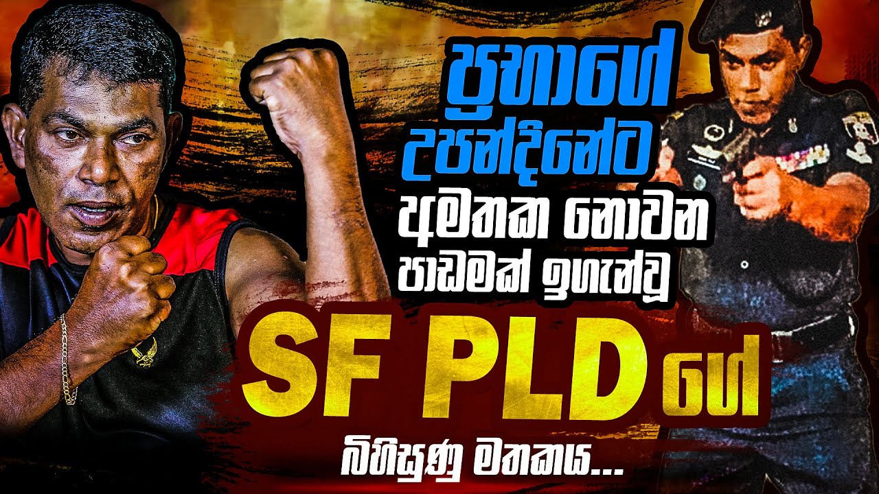ප්‍රභාගේ උපන්දිනයට අමතක නොවන පාඩමක් ඉගැන්වූ SF - PLD ගේ බිහිසුණු කතාව | WANESA TV