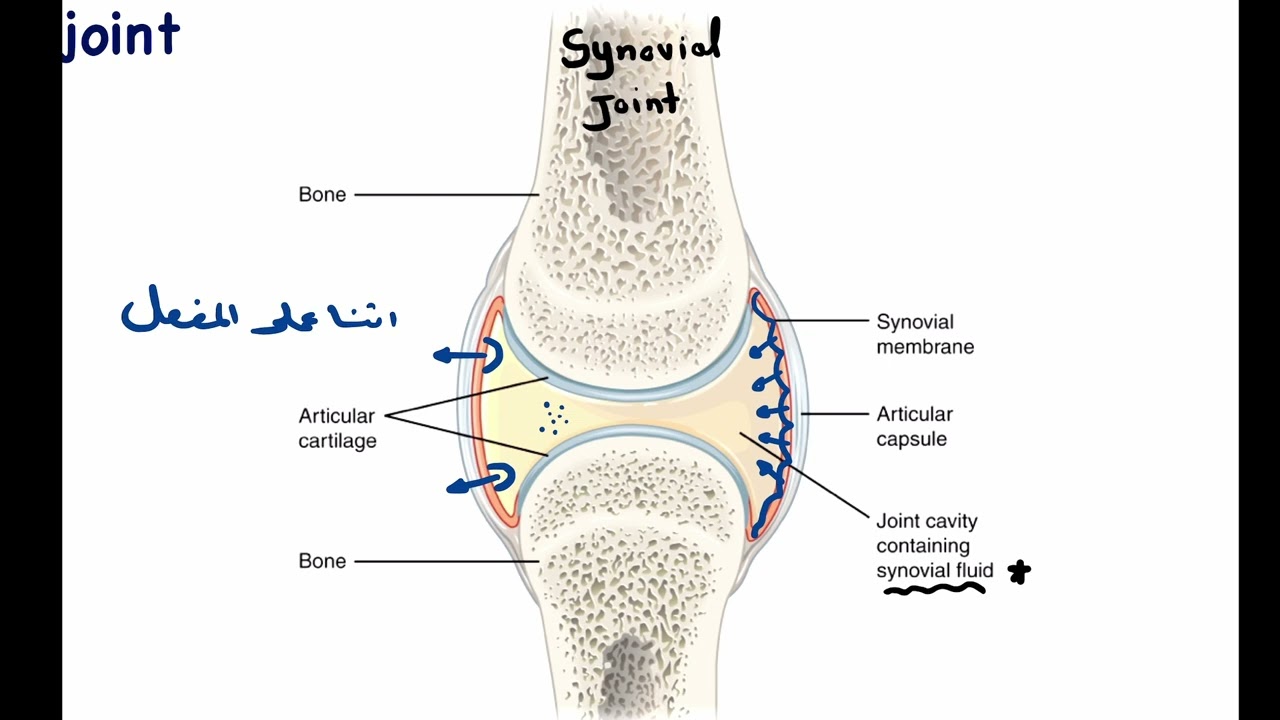 Joint Diseases