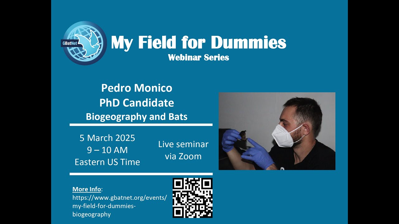 My Field for Dummies – Biogeography and Bats